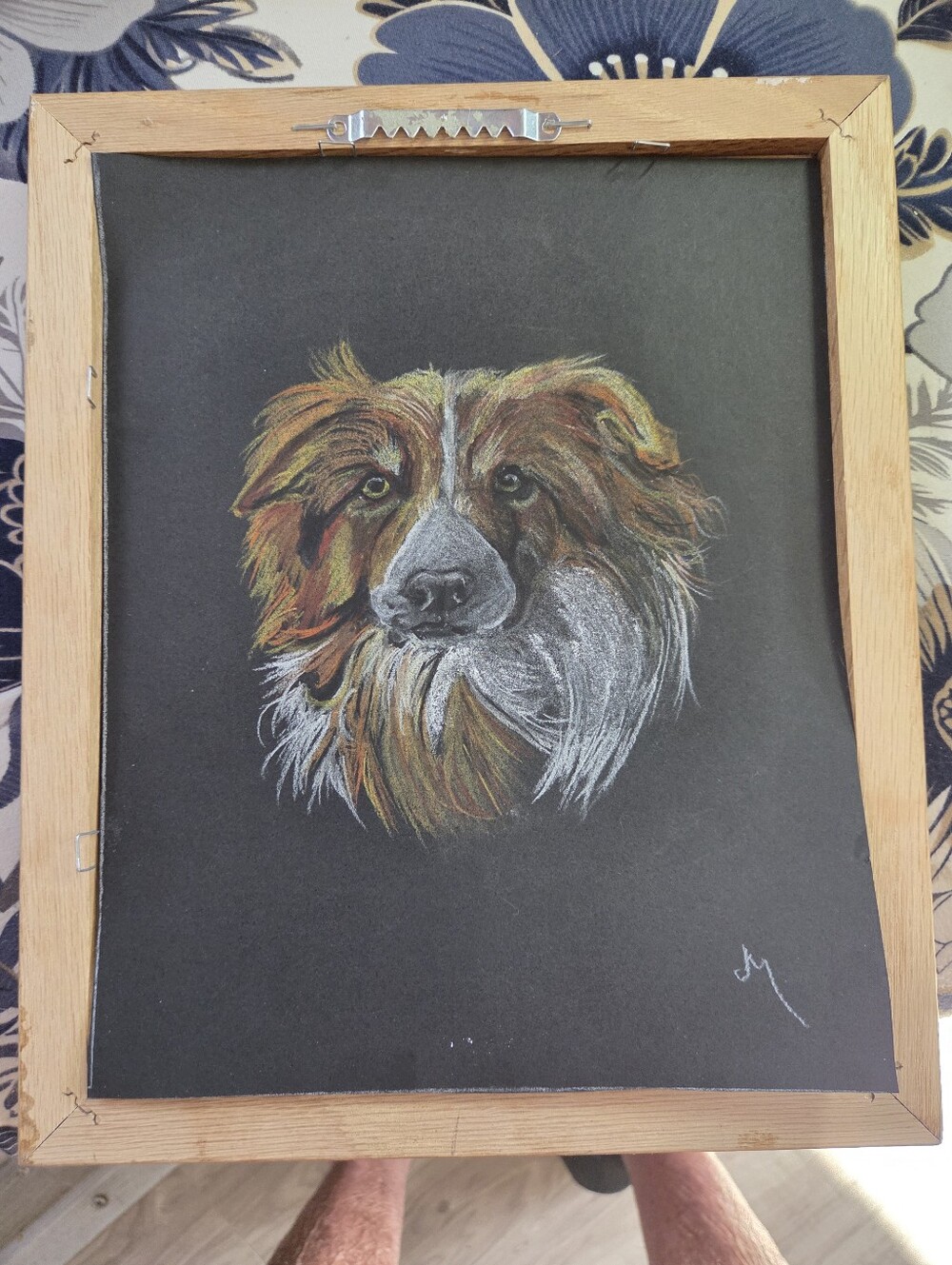 Handcrafted Dog Portrait  Brown & White Border Colier Dog on Black Framed 11 X12